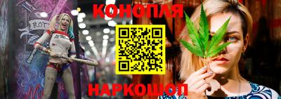 дмт Можайск