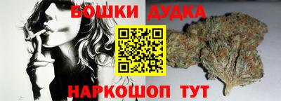 a pvp Можга